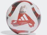 Bola Sepak